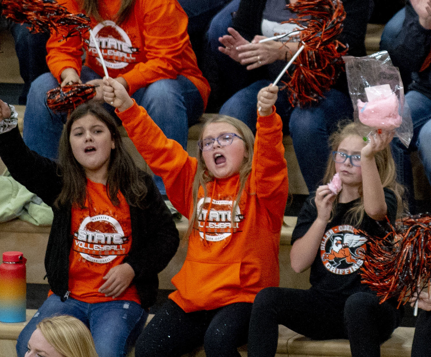 State volleyball, Diller-Odell vs. HTRS, 11.7